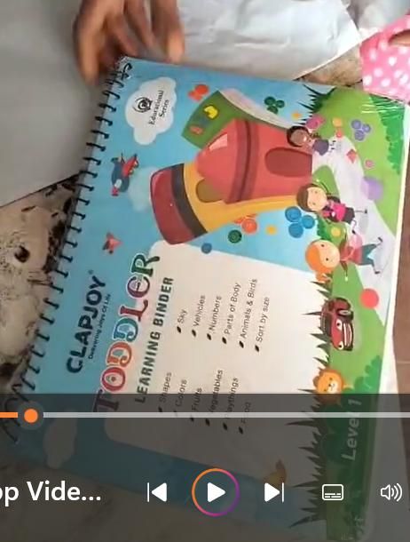 Toddler Learning Binder